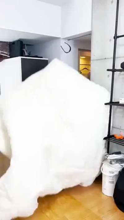 Wow really funny😐