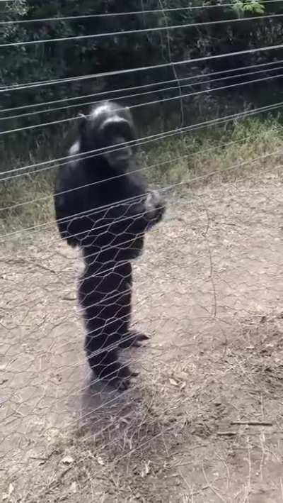 Building manager annoyed about how the fence was installed