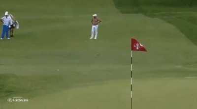 Right back to his feet (via @usopengolf twt)