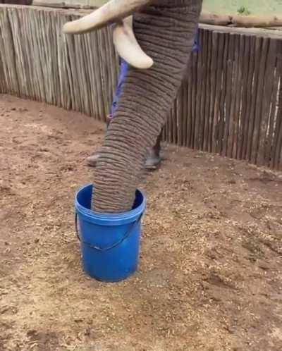 🔥 Heavy drinker 🔥