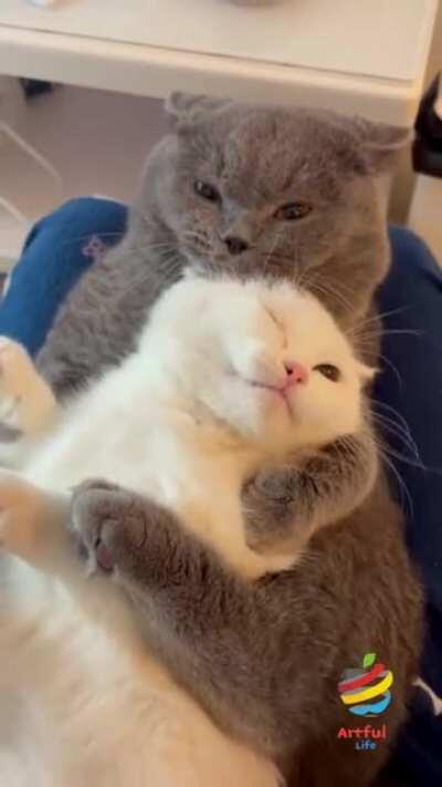 Hug