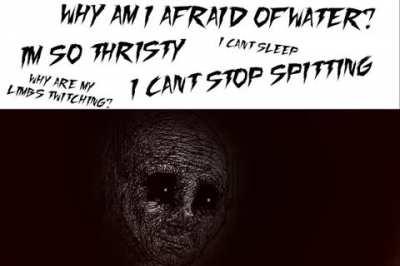 Cool! There's bats here even though the map says there's no exhibit.