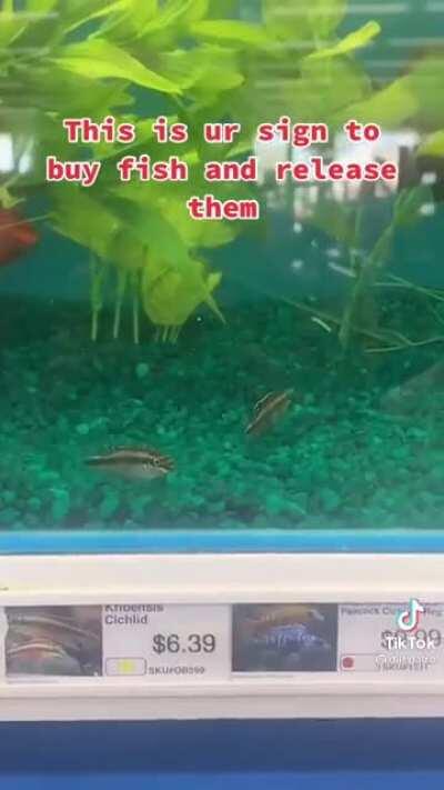 Aw just like PETA 😍