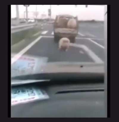 Nah he foul for that😂😭