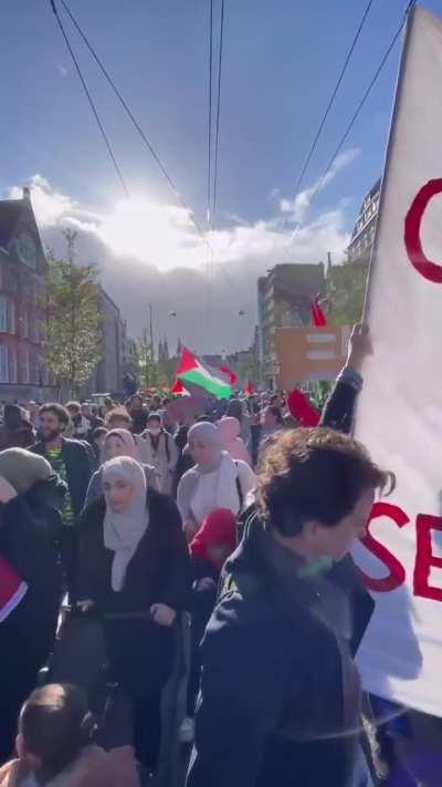 More footage of the demo/march in the Netherlands 