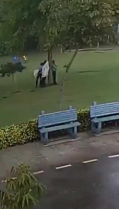 Under a tree in the rain