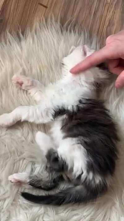 Gotta get a little of that leg action going