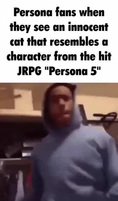 jonker is shane dawso?