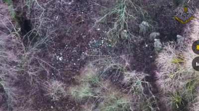 Tactical Group №84 of the Ukrainian Special Operation Forces posted a video of capturing DPRK soldiers in the Kursk region.