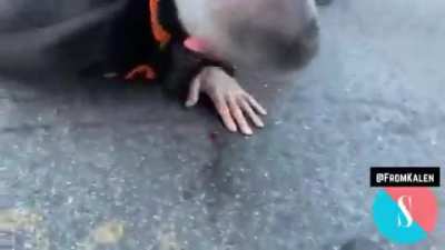 MOSTLY peaceful Biden Voters.