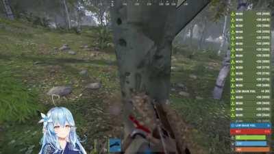 Lamy Lawnmower 2: Lamy Chainsaw