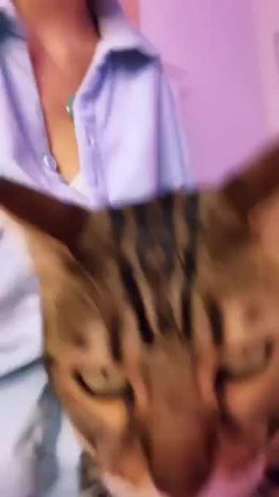 this song brings Jess back to an era she misses 😭🤍(ﾉ◕ヮ◕)ﾉ*:･ﾟ✧