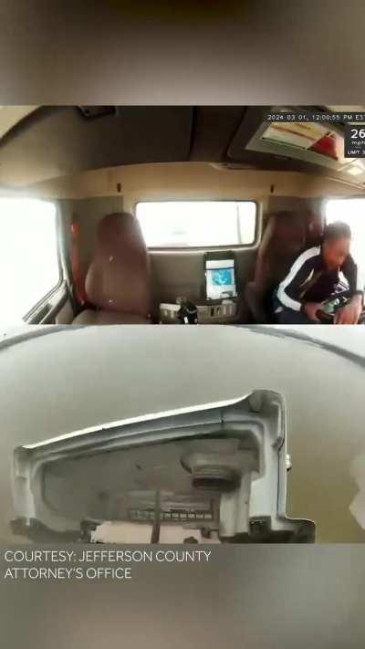 The seatbelt understood the assignment
