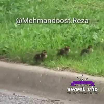 خدا بهش صبر بده 😂. . . . . . . . . . وت آپ کنید بازم از اینا میزارم ⬆️♥⬆️