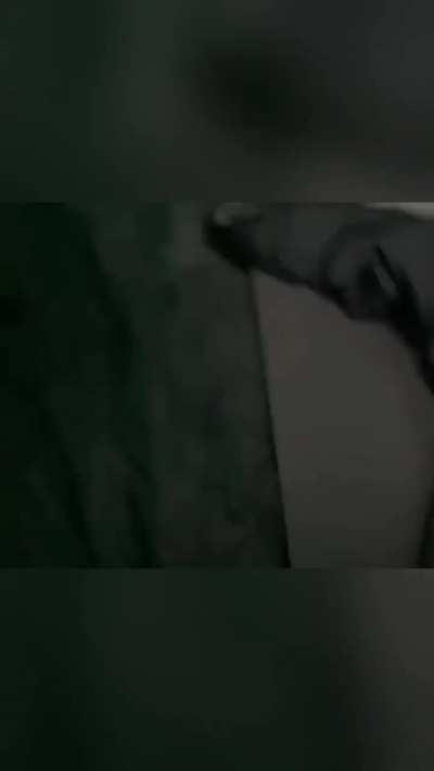 It's shaping up to be a lovely day camping in the woods