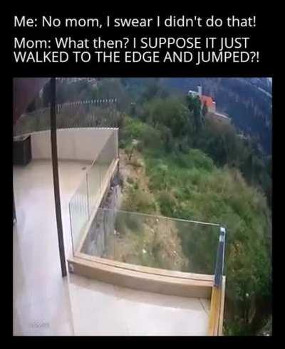 When it really wasn't your fault.... THIS time