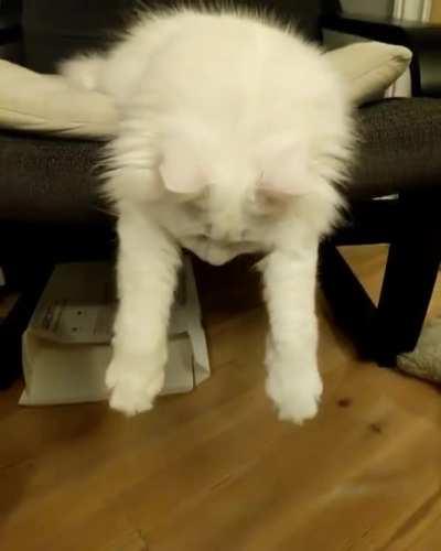 We share a mutual feeling about Wednesdays