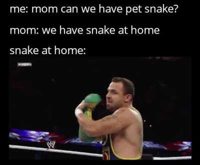 Snek at home: