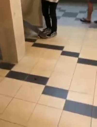 Something is scary about the insects when they fly