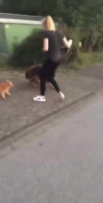 NInjaCat