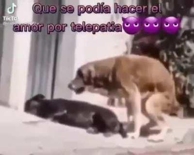 Quien lo diría 🤯