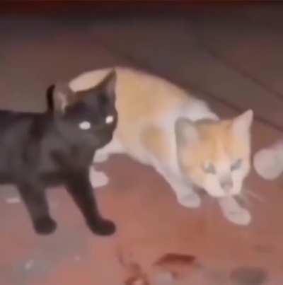 FOR GODS SAKE OPEN THE SILO DOORS