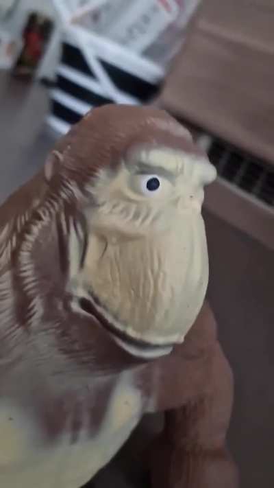 I got one of those stretchy monkeys you beat up, then prompty made this when a friend suggested I hit it with a pan 