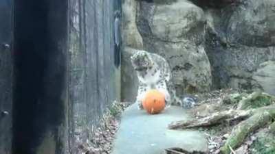 How to pick up ball?