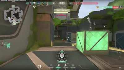 POV : You're 50% stupid 50% insane XD