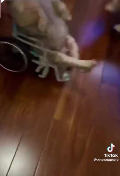 como llamarian a este perrito