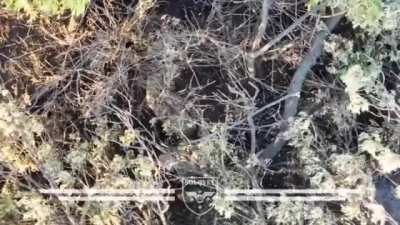 Drone operators of the SOLOVEY 144 OB TRO at work in Donetsk Oblast [Nov 2024]