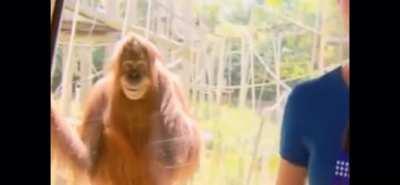 the doboys lurking in gifters whispers when they gift a sub. 😈