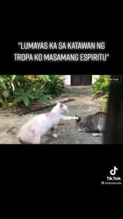 May pumalit na kay ed caluag POV: Ed caluag mag resign kana hahaha CTTO On tiktok