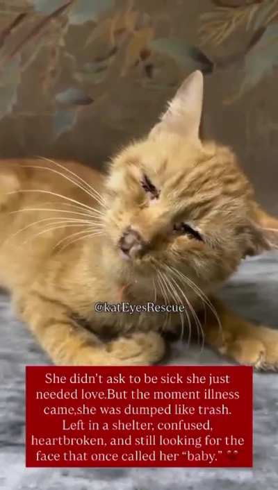 She didn’t ask to be sick she just needed love. But the moment illness came, she was dumped like trash. She needs immediate medical care, treatment, and support to get a second chance at life.