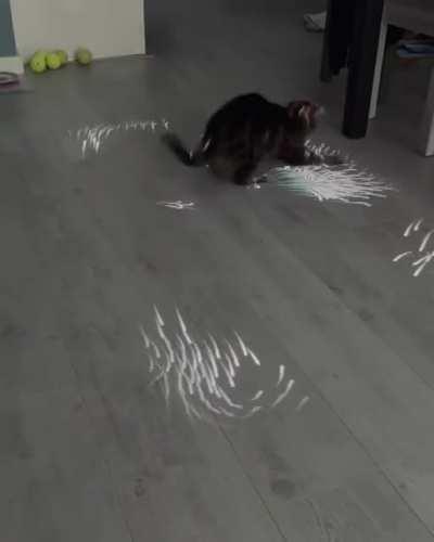 mAd SciEnTiStS dEplOy FeLiNe cOntrAcePtiOn ExPeRiMeNt