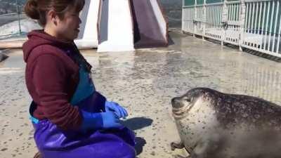 I Wanna Hug This Water Doggo...