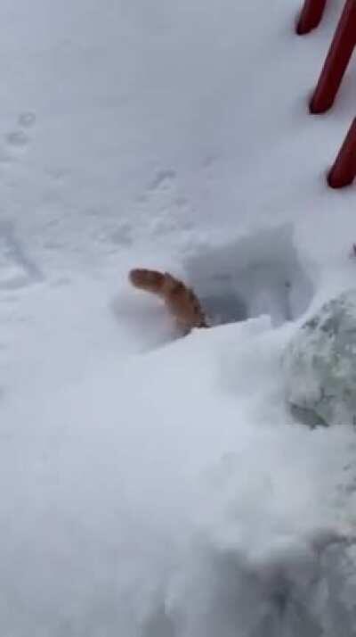 Kinda cold under here