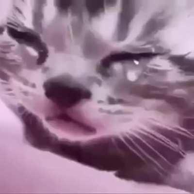 Mommy told me its my turn 😔