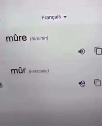 Лямур тужур