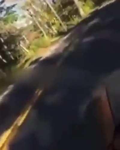 Bruh, what he was expecting tho?