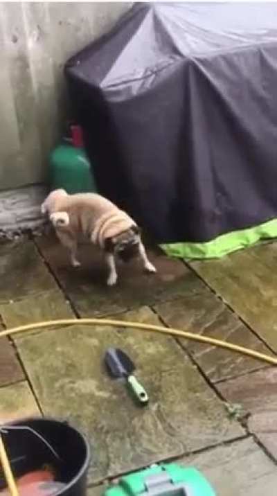 Pretty sure this is how it happens in public bathrooms.....