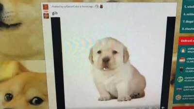 aine Spente fuer den Lohrd