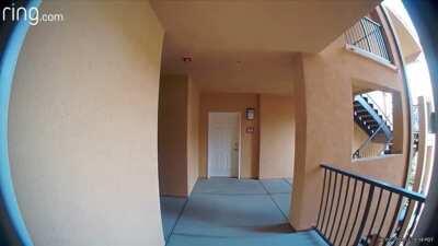 Сразу видно, вора качал