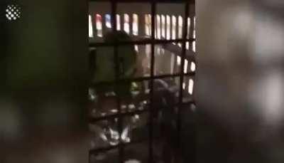 Dick in cage cries like an infant to get attention