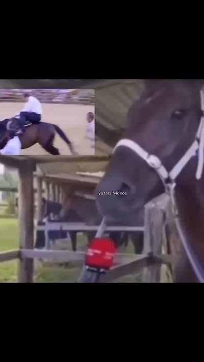 At bey ne diyorsunuz? Ayıp değil mi? 