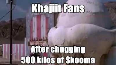 Elders Scrolls Races In a Nutshell