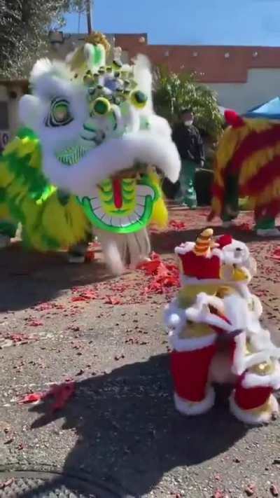 He loves lion dancing