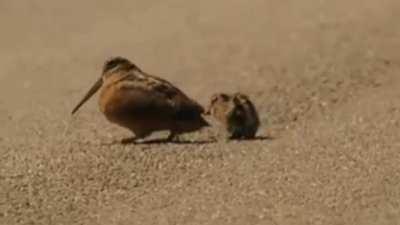 Just needed to save this