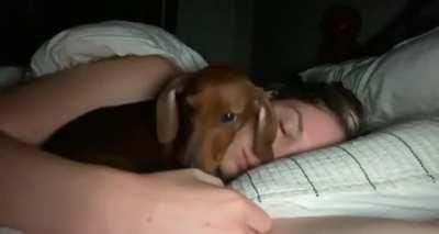 WomAn is moLEsTEd By sEX OFfeNDEr WhIle SLeEpING