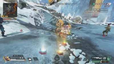 Just a murder of Bloodhounds chillin (GONE WRONG)